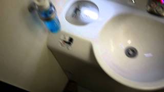 Singapore Airlines SQ222 Sydney to Singapore Cabin Washroom [upl. by Ranilopa]