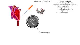 Stroke volume  contractility definition [upl. by Gladine]