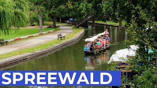 10 Orte im SPREEWALD die Du sehen solltest [upl. by Ainala664]