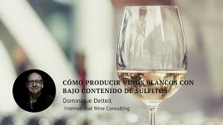 Cómo producir vinos blancos con bajo contenido de sulfitos [upl. by Umeko]