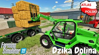 Dzika Dolina  Rozładunek słomy ☆ FS 22 ☆ Atlas Polski ㋡ Anton [upl. by Etteiluj]