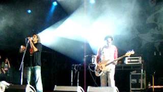 Dreadzone  Little Britain live at Beautiful Days 2010 [upl. by Assirrem727]