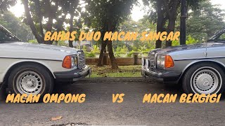 Bahas Macan Yang Sangat Manis Dan Cantik BAHASMOBIL [upl. by Ohs]