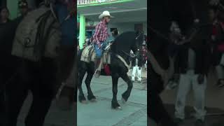 Caballo Bailando La Yaquesita 👍 [upl. by Hornstein]