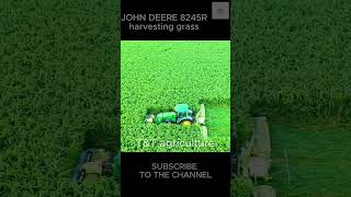 Harvesting grass with John Deere 8245Rshort grass agriculture [upl. by Trixy]