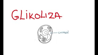 Glikoliza [upl. by Clerk]