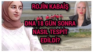 ROJİN KABAİŞ DOSYASINDA DNA BULGUSUBU DNA BİZE NEYİ İŞARET EDİYOR [upl. by Yttisahc882]