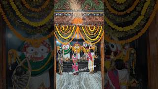 Sree Jagannath Mangal Arati Darshan krishna youtubeshorts jagannath viralvideo [upl. by Ayin]