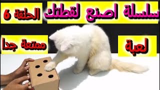 سلسلة اصنع لقطتك 6  لعبة مسلية جدا بادوات بسيطة [upl. by Etteiluj]