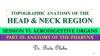 ANATOMY OF THE PHARYNX [upl. by Torrin]