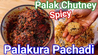 Palak Ki Chatni  Palakura Pachadi Andhra Style  Multipurpose Spinach Chutney for Rice Idli amp Dosa [upl. by Phaih473]