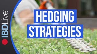 Use These Hedging Strategies To Protect Your Portfolio When Downside Reversals Happen  IBD Live [upl. by Egiedan]