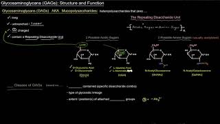 Glycosaminoglycans GAGs Structure and Function  Intro free sample [upl. by Akihsay979]