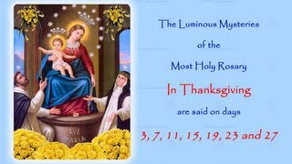 The Luminous Mysteries  In Thanksgiving  Annual 54 Day Rosary Novena [upl. by Annette]