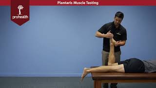 Plantaris Muscle Test Palp Dr Nikita Vizniak Muscle Manual [upl. by Henigman]