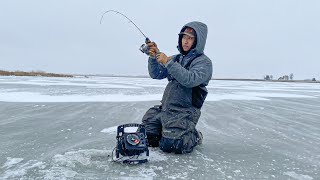 Early Ice Fishing Shallow Water Walleyes and Perch LIMITED OUT [upl. by Sugar]