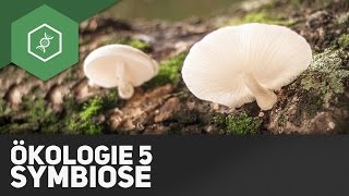 Symbiose – Ökologie 5 [upl. by Betsy]