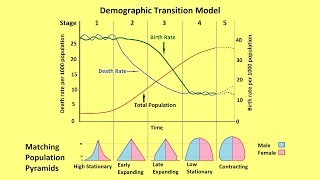 Why Populations Grow and the Demographic Transition Model [upl. by Sheldon]