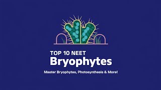 quotTop 10 NEET Biology Questions Bryophytes Photosynthesis and Plant Anatomy  NEET 2025 Prepquot [upl. by Lemaceon]