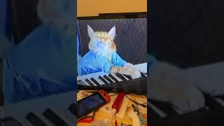 Keyboard Cat Original 1984 Meme [upl. by Belmonte602]