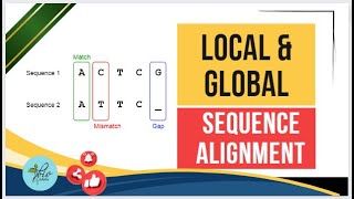 Global Vs Local Alignment Pair wise sequence alignment Bioibformatics [upl. by Trik]