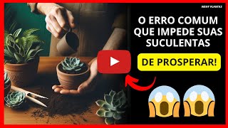 ⭕ Como Transformei Meu Espaço no Paraíso Perfeito para Suculentas  wenyplantas [upl. by Dwinnell]