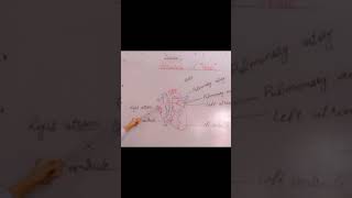 Structure of HeartHaq Bahu Campus [upl. by Duj]