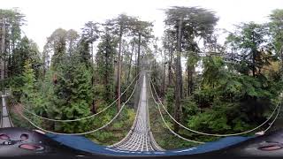 Greenheart TreeWalk Rainforest Experience at UBC Botanical Garden 360°  3D on compatible devices [upl. by Wylma]