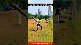 How to play cut shot 🏏🔥Drils to improve cut shot cricket sports motivation reels shorts [upl. by Aicac217]