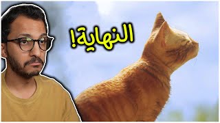 مغامرات البسة الضائعة 4 النهاية Stray [upl. by Nimra]