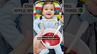 69 month baby food🥬🍎 babyfood recipevideo trending babyvideos babyfoodrecipe babyledweaning [upl. by Eimrots439]