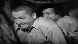 The Three Stooges 🔴 Matri phony 🔴 The Three Stooges Full Episodes 1080p [upl. by Catto482]