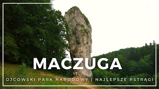 Ojcowski Park Narodowy  atrakcje i pstrągi Brama Krakowska i Maczuga Herkulesa  co zobaczyć [upl. by Christensen]