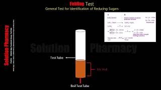 Fehlings Test  Test for Reducing Sugar Biochemical test for Carbohydrate  Animated Video English [upl. by Atiragram]