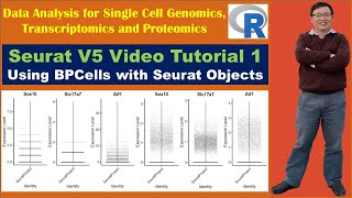 Seurat V5 Video Tutorial 1 Using BPCells with Seurat V5 Object [upl. by Ajim398]