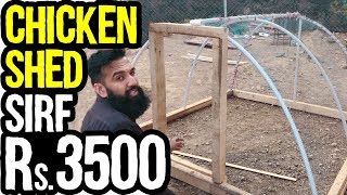 Rs3500 Ka Chicken Shed for Chicken Farming In Pakistan  Urdu Hindi Punjabi [upl. by Hersh]