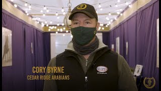 Trainers Review Arabian Show Halters with Cory Byrne [upl. by Kenaz]