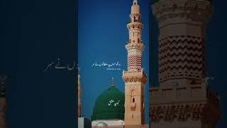 Hum Faqiron Ko Madine Ki Gali Achi Lagi  Islamic Status  WhatsApp Status  Muslim Status  Sabr [upl. by Carl]