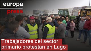 Decenas de trabajadores se concentran en Lugo en una jornada de protestas del sector primario [upl. by Delores]