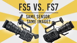 FS5 vs FS7 Shootout Same Sensor Same Image [upl. by Plume]