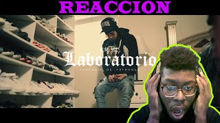 Herencia De Patrones  En El Laboratorio Official Video REACCION [upl. by Darrey]