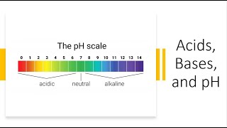 Acids Bases amp pH [upl. by Sekofski311]