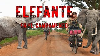 ELEFANTE EN EL CAMPAMENTO  Uganda  África19  Vuelta al Mundo en Bici  SUBT CC [upl. by Sophia648]