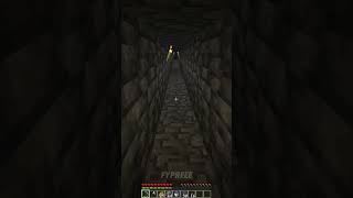 POV 💀 minecraftmeme minecraftshorts shortsfeed shorts minecraftcave funny [upl. by Aluin]