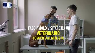 Botti di Capodanno il video decalogo di Oipa per proteggere gli animali [upl. by Bowers]