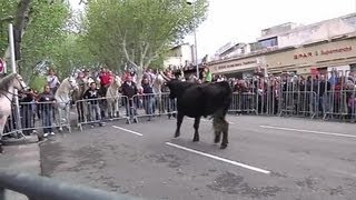 Arles ouvre la saison des férias [upl. by Vizzone875]