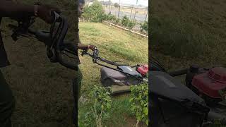 cutting garden glass by petrol machine [upl. by Licha]