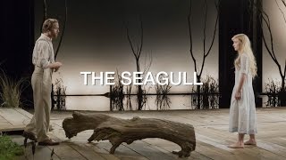 Chekhov The Seagull [upl. by Niatsirk]