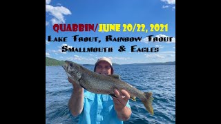 QuabbinLake Trout Rainbow Trout Smallmouth amp Eagles June 2022 2021 [upl. by Teage]