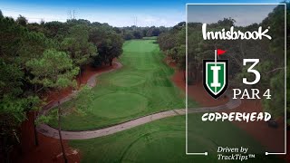 Innisbrook Resorts Copperhead Course Hole 3 [upl. by Viehmann282]